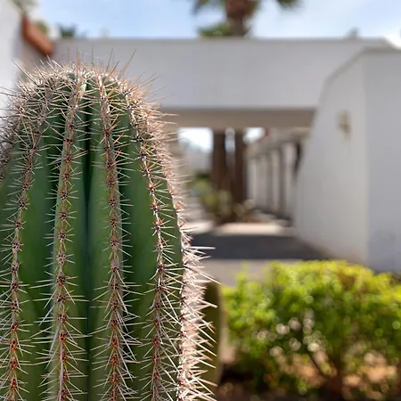 Aaron Beautifull House Appartement