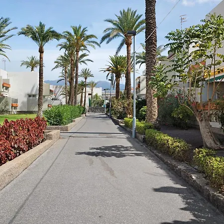 Aaron Beautifull House Arona (Tenerife)